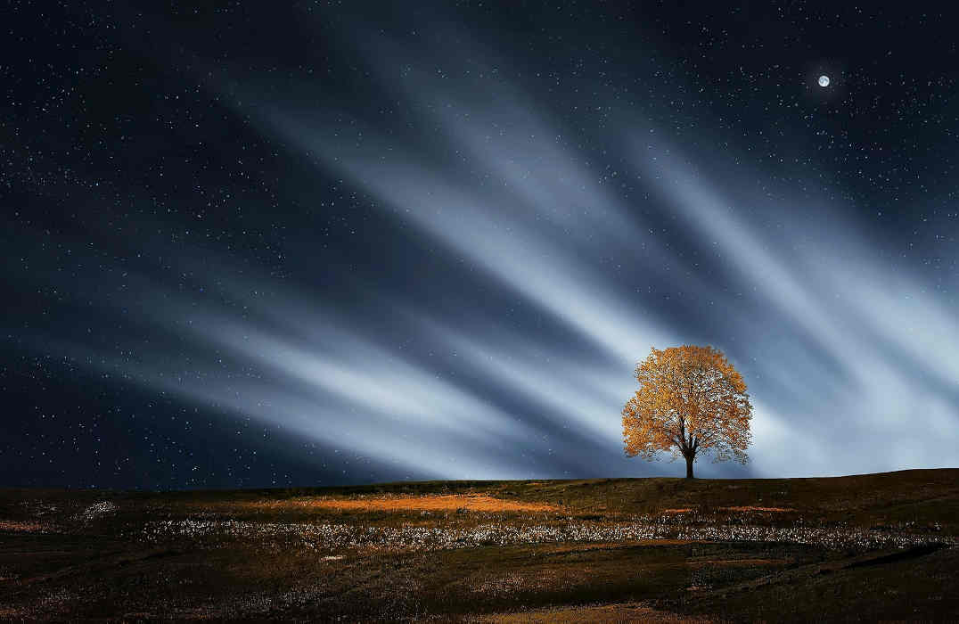 La confiance, moteur du cheminement spirituel