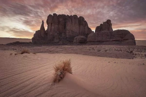 zakibmsr-sand-4492751