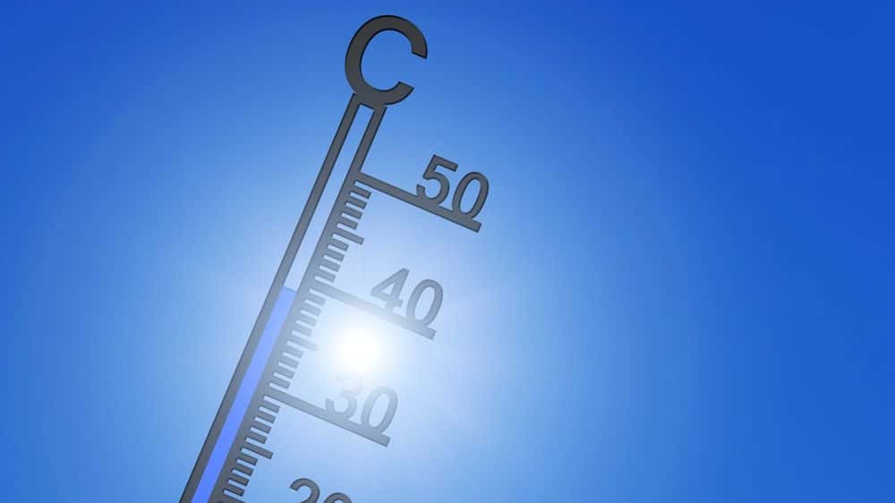 Canicule
