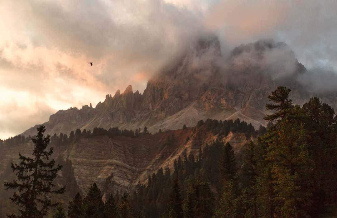 Plotin : «La félicité doit avoir pour mesure l'éternité»