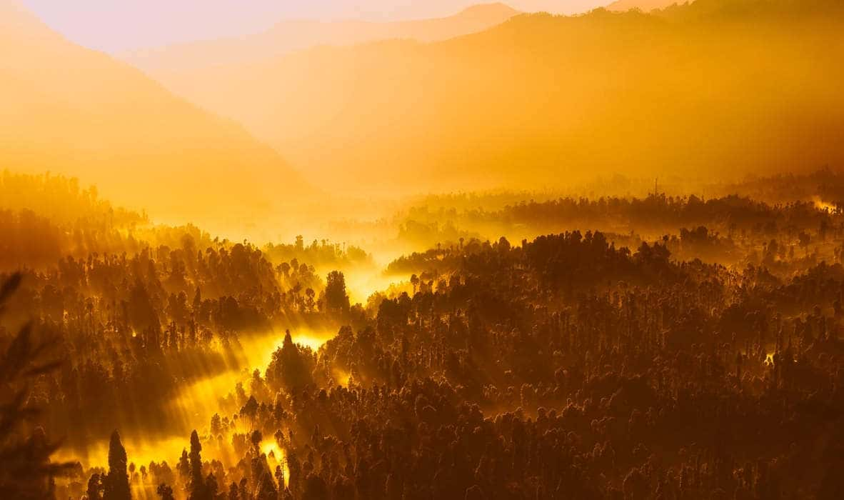 « Allâh est la Lumière des cieux et de la terre » Mizane.info